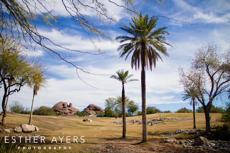 desert landscape photograph - atlanta photographer